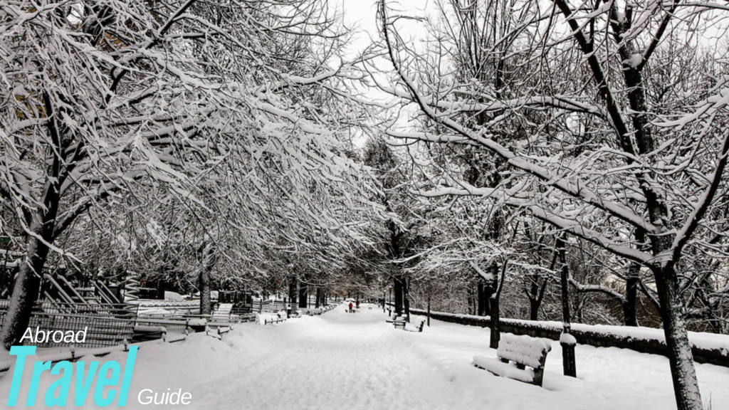snow in new york